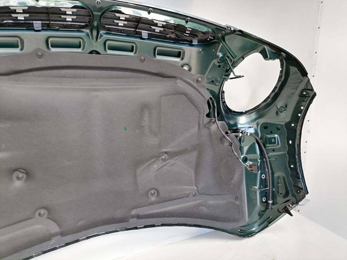 Mini One R50 original Motorhaube 8895 British Green Bj.2001